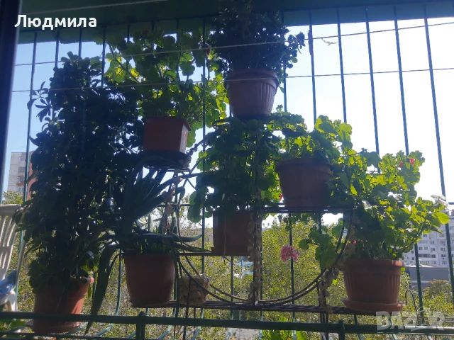 Цветарник,ковано желязо,олекотен,уникален,, снимка 4 - Декорация за дома - 51218359