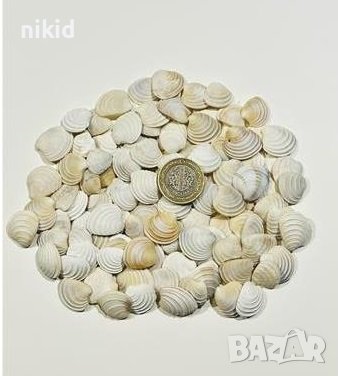 Морски микс малки мидички миди рапани морска звезда охлювчета за декорация украса, снимка 2 - Други - 33524000