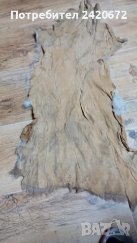 еленова кожа