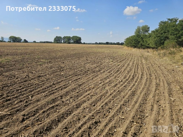 Продавам 25 дка земя в землището на с. Боянци, обл. Пловдив, снимка 5 - Земеделска земя - 53530308