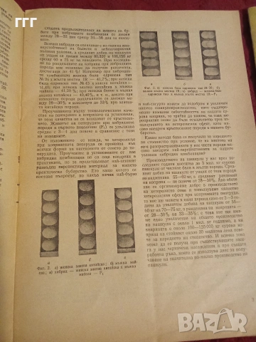 Природа и знание, снимка 4 - Списания и комикси - 53205399