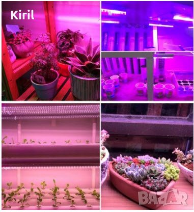 LED лента крушка фито лампа за растеж на растенията 5 метра  дължина 