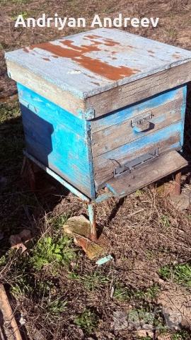 2 броя пчелни семейства и инвентар, снимка 2 - За пчели - 53749387