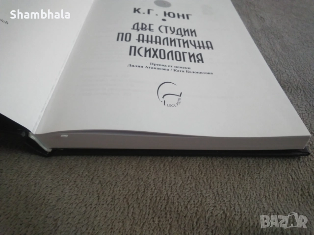 Две студии по аналитична психология К. Г. Юнг, снимка 4 - Специализирана литература - 51911285