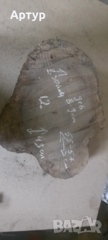 Дървени шайби от орех различни размери, снимка 3 - Декорация за дома - 53368623