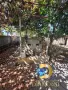 Двуетажна къща в село Брод, общ. Димитровград, снимка 5