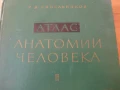 Атлас Анатомия на човека том 2 Синелников, снимка 2