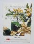 Книга Овощарството при планински и полупланински условия 1999 г., снимка 1 - Други - 41929074