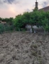 Продавам къща в с.чорбаджийско , снимка 18