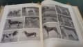 Детска енциклопедия в 10 тома на руски език + Подарък, снимка 7
