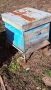 2 броя пчелни семейства и инвентар, снимка 2