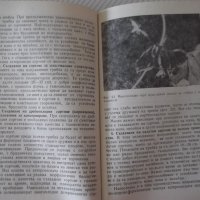 Книга "Краставици - Атанас Михов" - 160 стр., снимка 7 - Специализирана литература - 40060421