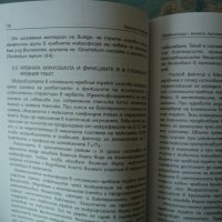 Пробиотици Минало, настояще и бъдеще Христо Чомаков здраве храна, снимка 2 - Специализирана литература - 41319746