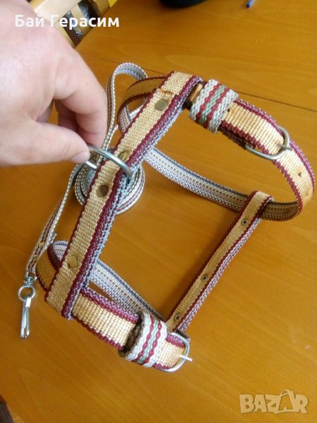 Нагръдник за куче + повод, снимка 1
