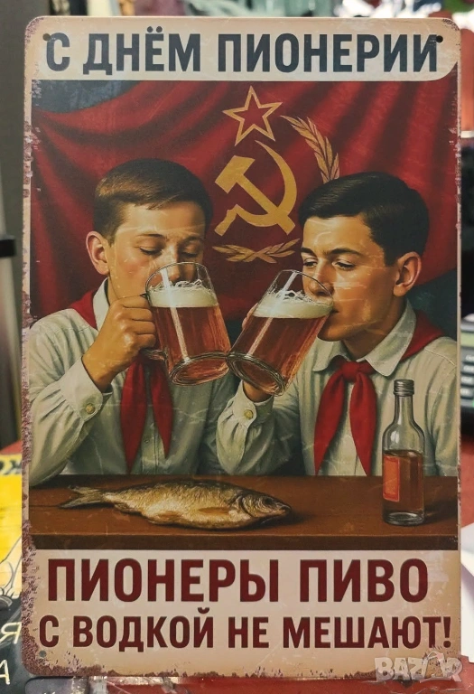 Майтапчийска метална табела на руски език за декорация, снимка 1