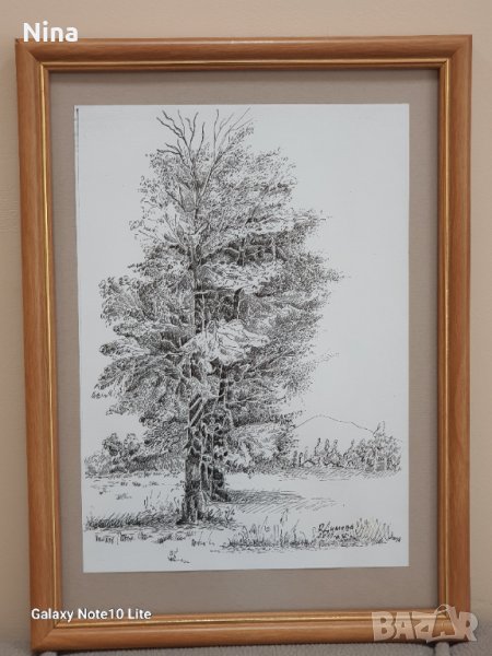 Графика Дърво в Картини в гр. Пазарджик - ID41648127 — Bazar.bg