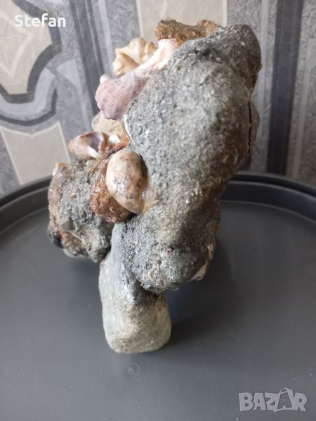 Морски камък в Други в гр. Дупница - ID41288836 — Bazar.bg