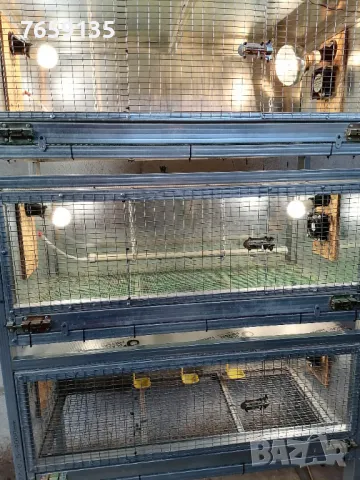 Брудери и клетки, снимка 4 - За селскостопански - 47449763