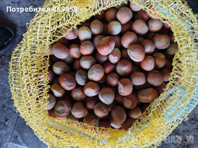 Продавам лешници 