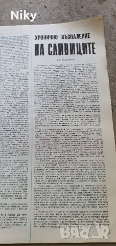 Колекция списание Здраве 1955 година , снимка 7 - Списания и комикси - 41993588