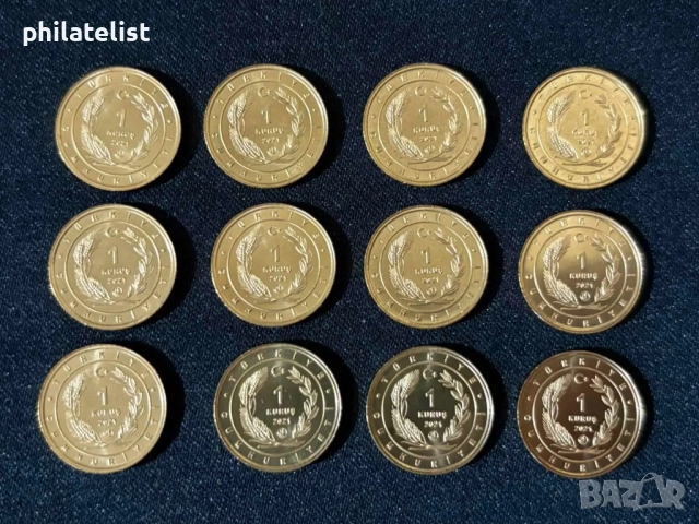 Турция 2021 – Комплектен сет от 12 монети по 1 куруш - Фауна , птици, снимка 7 - Нумизматика и бонистика - 52003001