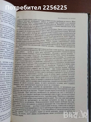 Животът на земята , снимка 3 - Специализирана литература - 50600148