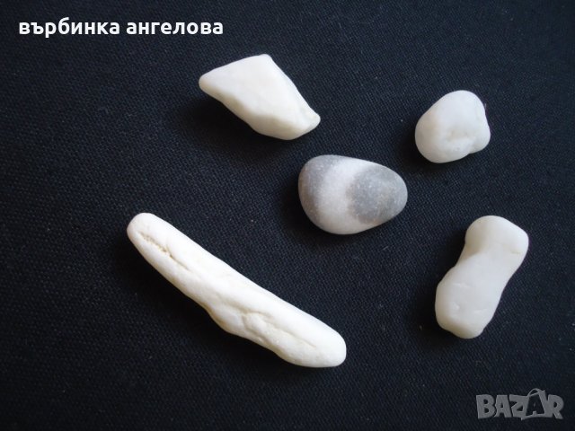 Мидени черупки и камъчета от Егейско море за вашата колекция, снимка 4 - Колекции - 34166712