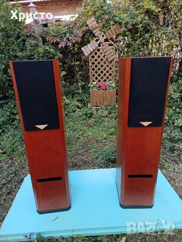 Тонколони Hi-End Usher V-602, снимка 4 - Тонколони - 52171299