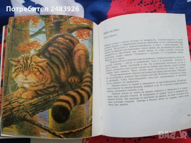 Атлас по зоология Цоло Пешев, Симеон  Симеонов, снимка 4 - Специализирана литература - 41081710