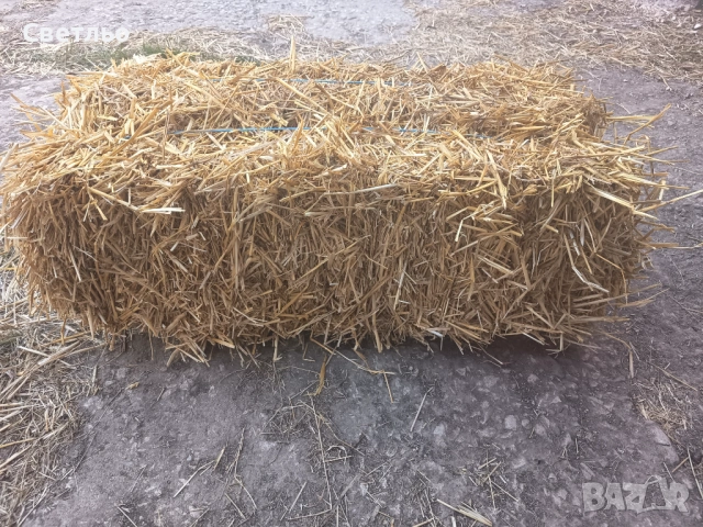 Ечимичена слама малки бали