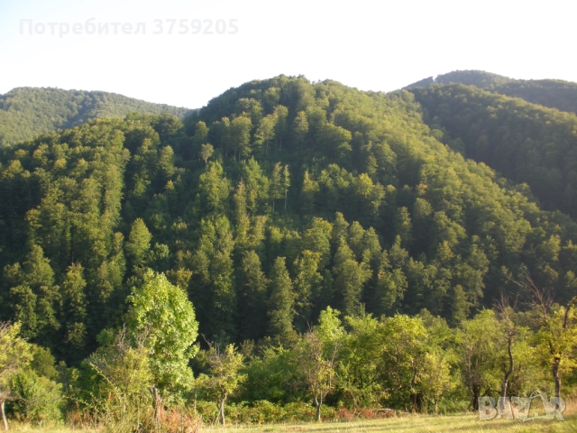 Продавам парцел в с.Рибариба, снимка 2 - Парцели - 52266031