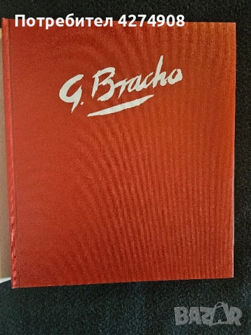 Gabriel Bracho - Un pintor de la realidad, снимка 2 - Художествена литература - 52293566