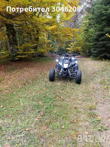 АТВ ЗонгШен 250кб, снимка 5 - Мотоциклети и мототехника - 53407064
