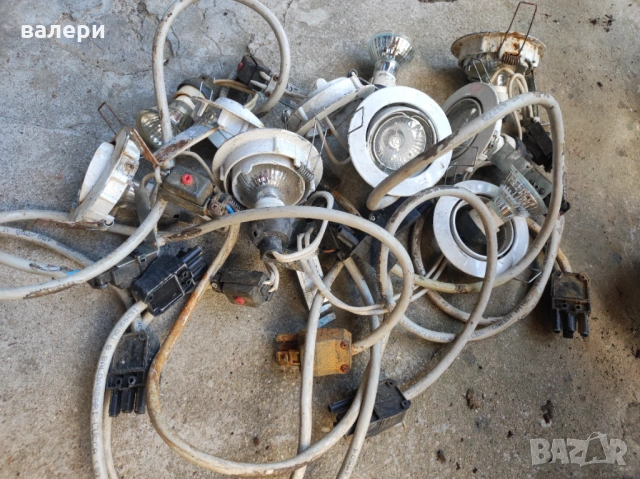 Крушки от чужбина, снимка 3 - Крушки - 53870559