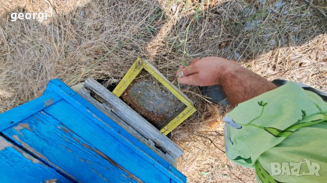 Пчелни кошери, снимка 2 - За пчели - 42390804