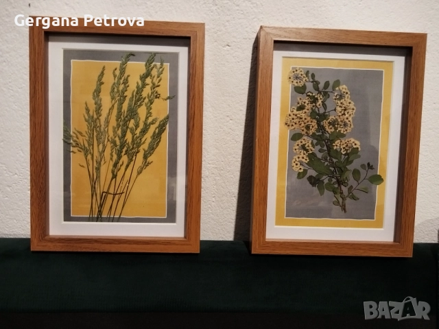 Комплект 2 бр. дървени рамки със стъкло с естествен хербарий., снимка 2 - Картини - 52140791