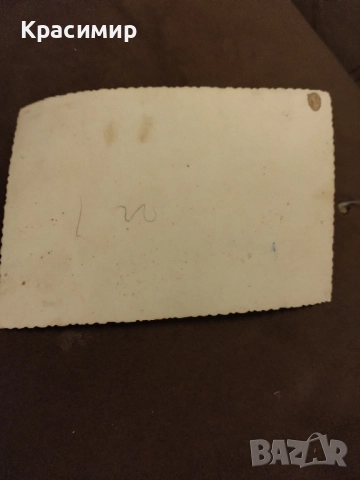 Ретро снимка Цар Освободител., снимка 4 - Колекции - 52497949