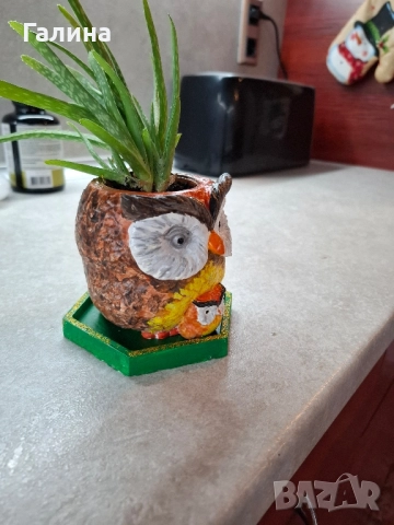 Декоративна саксиийка с Алое, снимка 3 - Стайни растения - 51657832