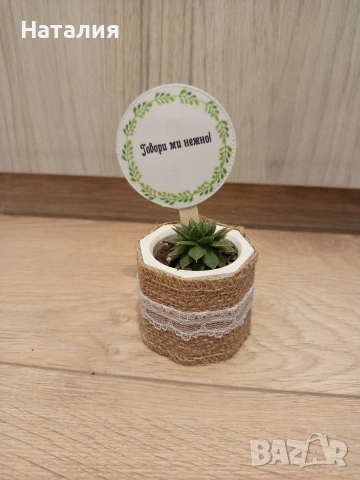 Гипсови кашпи и свещници., снимка 17 - Декорация за дома - 49763474