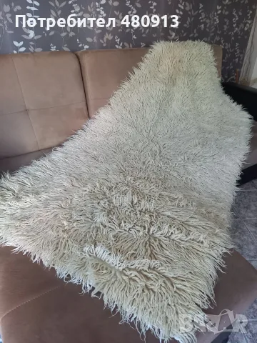Китеник с дълъг косъм