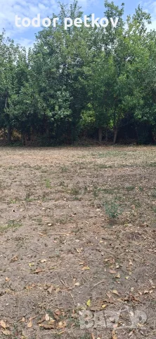 Дворно място в село Манолско Конаре , снимка 11 - Парцели - 56149259