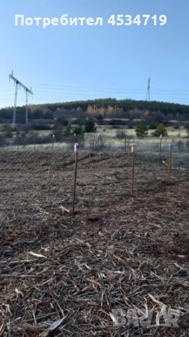 Продавам Парцел в село Долна Диканя област (Перник), снимка 4 - Парцели - 51042078