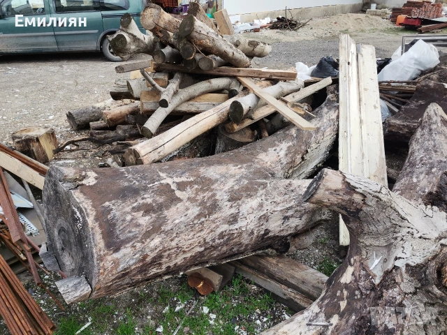 орех, снимка 5 - Декорация за дома - 53585524