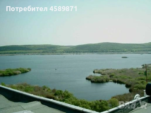 Вашето бягство в Сребърна: Здрава къща с огромен двор и лозе!, снимка 7 - Къщи - 53751084