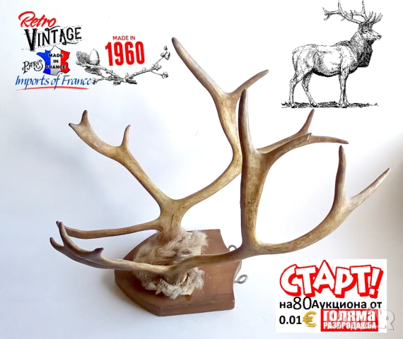 Новогодишна Разпродажба, снимка 14 - Антикварни и старинни предмети - 53066903