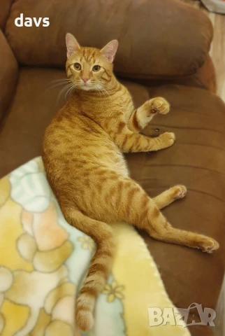 Чаровен Рижко търси партньорка, снимка 3 - Търси партньор - 50946674