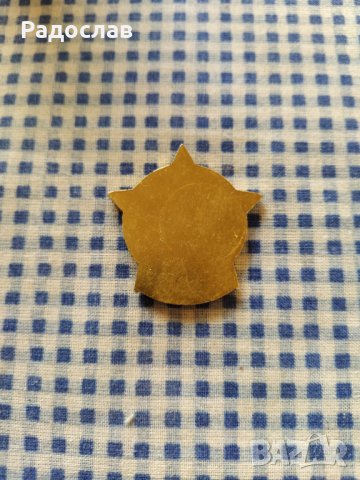 знак   За заслуги към БГА, снимка 3 - Колекции - 39581208