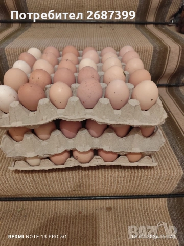 Домашни яйца, снимка 2 - Други - 53482801