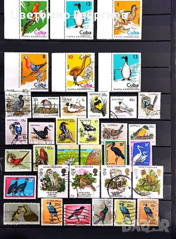 Пощенски марки/птици/. К.1, снимка 1