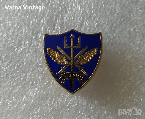 Значка на Върховния главнокомандващ на НАТО в Атлантика